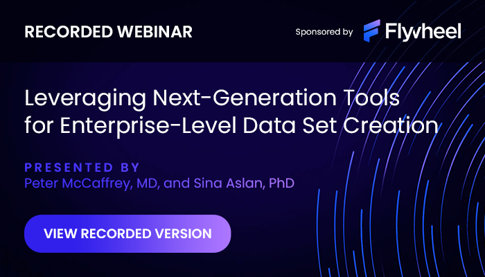 Recored Webinar | Leveraging Next-Generation Tools for Enterprise-Level Data Set Creation