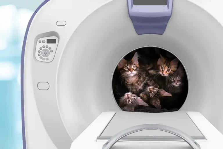 5 Things to Watch in 2026